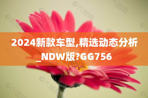 2024新款车型,精选动态分析_NDW版?GG756