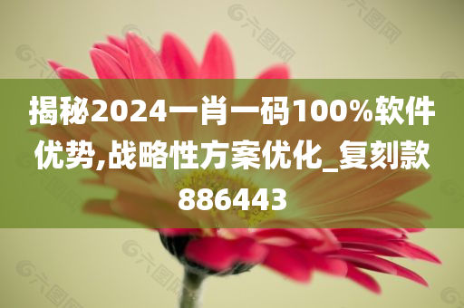 揭秘2024一肖一码100%软件优势,战略性方案优化_复刻款886443