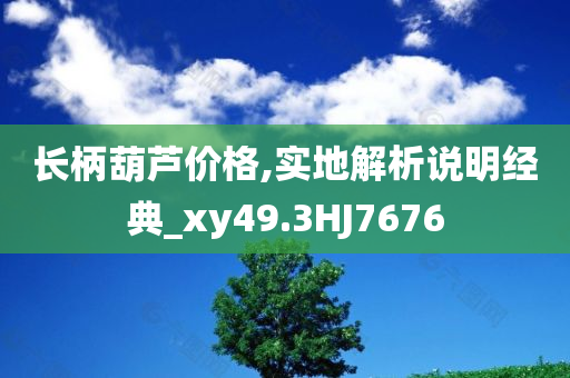 长柄葫芦价格,实地解析说明经典_xy49.3HJ7676