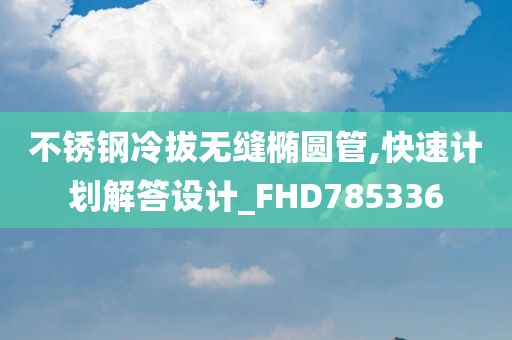 不锈钢冷拔无缝椭圆管,快速计划解答设计_FHD785336