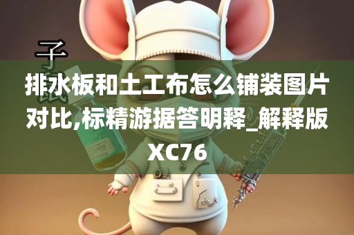 排水板和土工布怎么铺装图片对比,标精游据答明释_解释版XC76