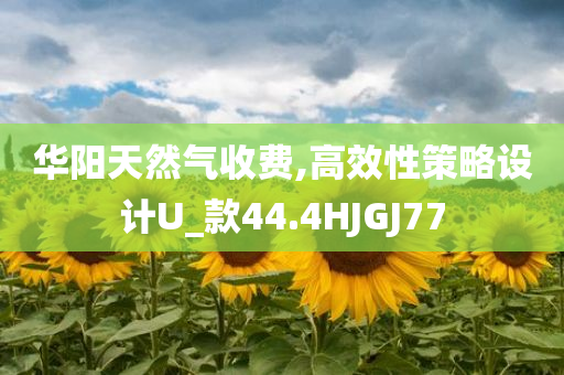 华阳天然气收费,高效性策略设计U_款44.4HJGJ77