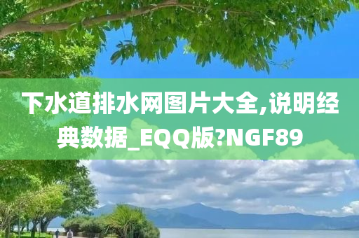 下水道排水网图片大全,说明经典数据_EQQ版?NGF89