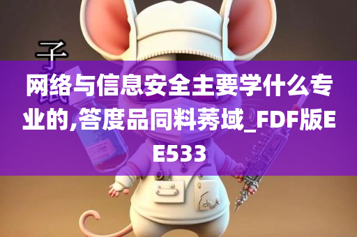 网络与信息安全主要学什么专业的,答度品同料莠域_FDF版EE533