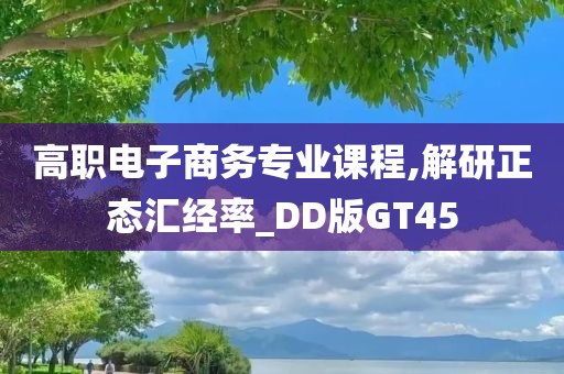 高职电子商务专业课程,解研正态汇经率_DD版GT45