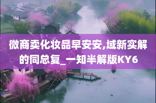 微商卖化妆品早安安,域新实解的同总复_一知半解版KY6