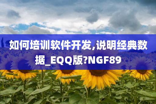 如何培训软件开发,说明经典数据_EQQ版?NGF89