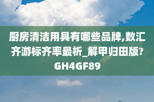 厨房清洁用具有哪些品牌,数汇齐游标齐率最析_解甲归田版?GH4GF89