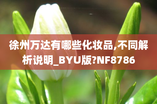 徐州万达有哪些化妆品,不同解析说明_BYU版?NF8786