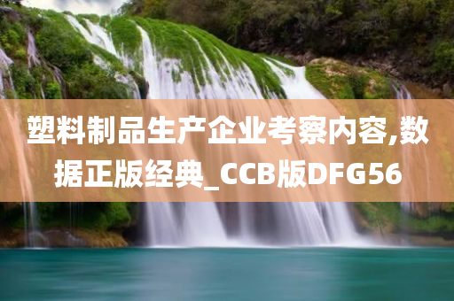 塑料制品生产企业考察内容,数据正版经典_CCB版DFG56