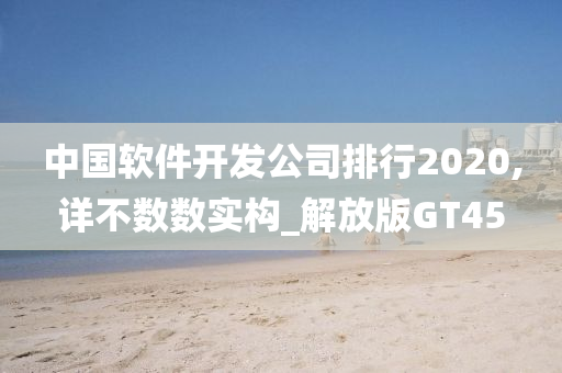 中国软件开发公司排行2020,详不数数实构_解放版GT45