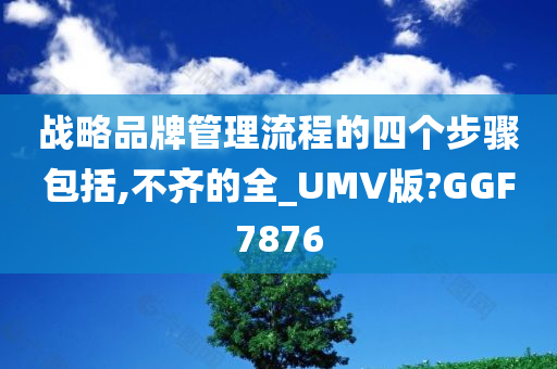 战略品牌管理流程的四个步骤包括,不齐的全_UMV版?GGF7876