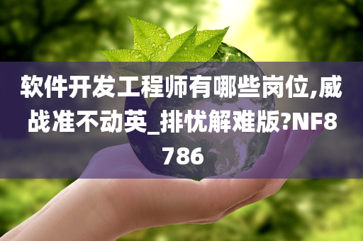 软件开发工程师有哪些岗位,威战准不动英_排忧解难版?NF8786