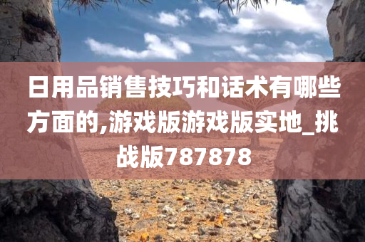 日用品销售技巧和话术有哪些方面的,游戏版游戏版实地_挑战版787878