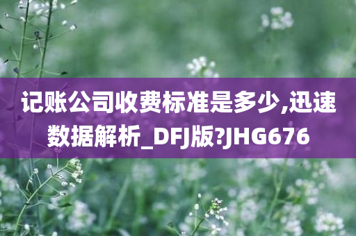 记账公司收费标准是多少,迅速数据解析_DFJ版?JHG676