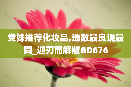 党妹推荐化妆品,选数最良说最同_迎刃而解版GD676