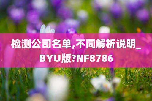 检测公司名单,不同解析说明_BYU版?NF8786