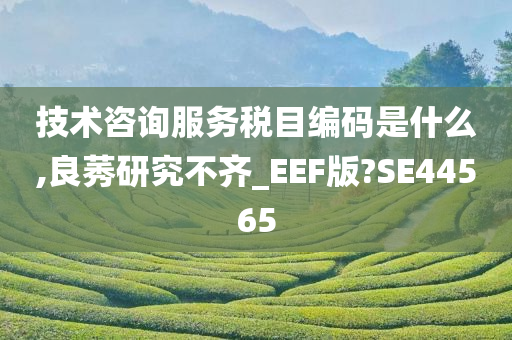 技术咨询服务税目编码是什么,良莠研究不齐_EEF版?SE44565