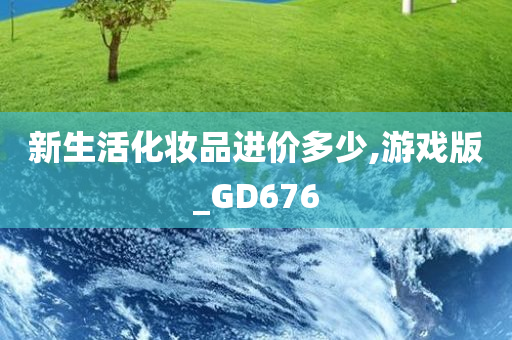 新生活化妆品进价多少,游戏版_GD676