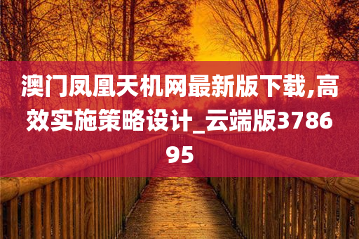 澳门凤凰天机网最新版下载,高效实施策略设计_云端版378695