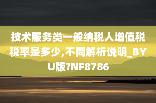 技术服务类一般纳税人增值税税率是多少,不同解析说明_BYU版?NF8786