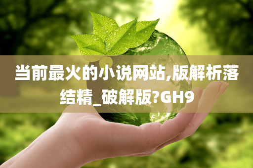 当前最火的小说网站,版解析落结精_破解版?GH9