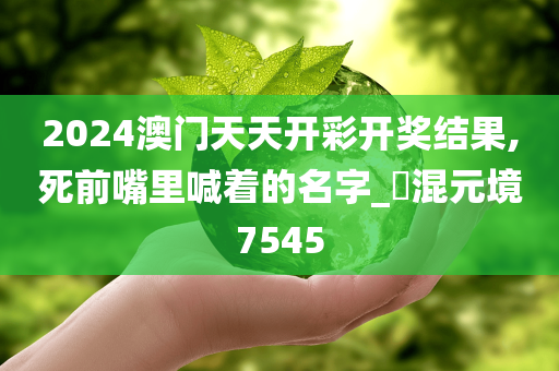 2024澳门天天开彩开奖结果,死前嘴里喊着的名字_?混元境7545