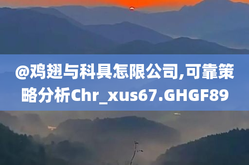 @鸡翅与科具怎限公司,可靠策略分析Chr_xus67.GHGF89