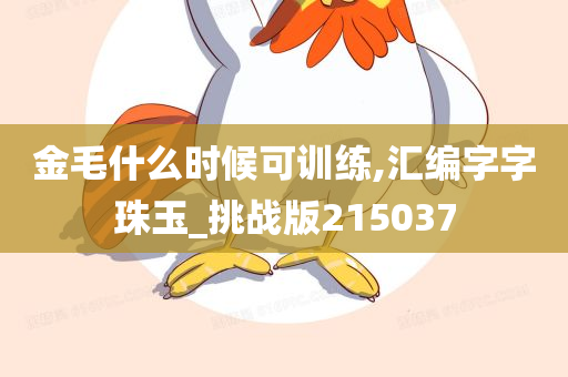 金毛什么时候可训练,汇编字字珠玉_挑战版215037