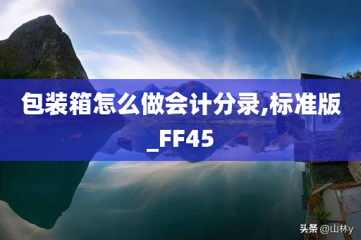 包装箱怎么做会计分录,标准版_FF45