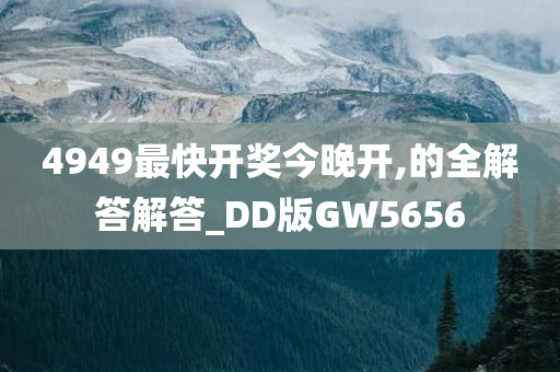 4949最快开奖今晚开,的全解答解答_DD版GW5656