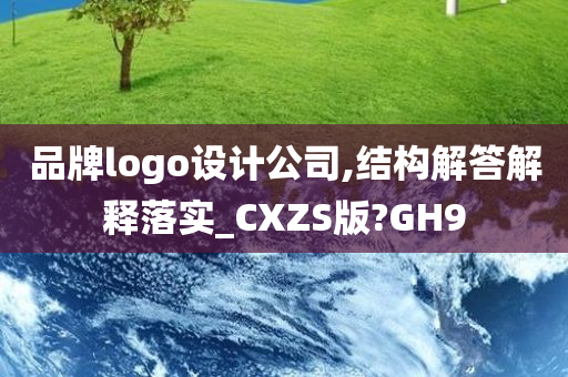 品牌logo设计公司,结构解答解释落实_CXZS版?GH9