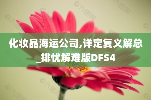 化妆品海运公司,详定复义解总_排忧解难版DFS4