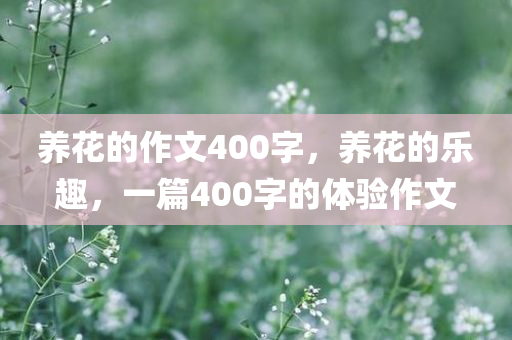 养花的作文400字，养花的乐趣，一篇400字的体验作文