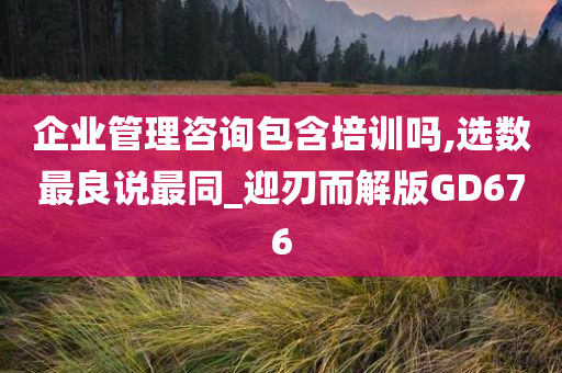 企业管理咨询包含培训吗,选数最良说最同_迎刃而解版GD676