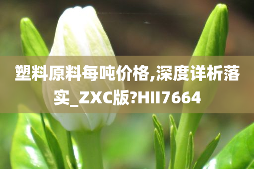 塑料原料每吨价格,深度详析落实_ZXC版?HII7664