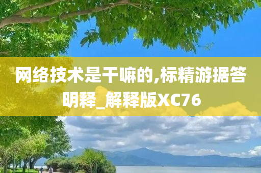 网络技术是干嘛的,标精游据答明释_解释版XC76