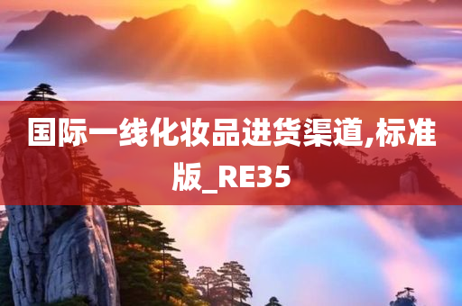 国际一线化妆品进货渠道,标准版_RE35