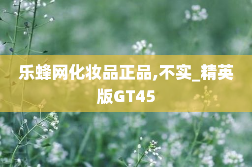 乐蜂网化妆品正品,不实_精英版GT45