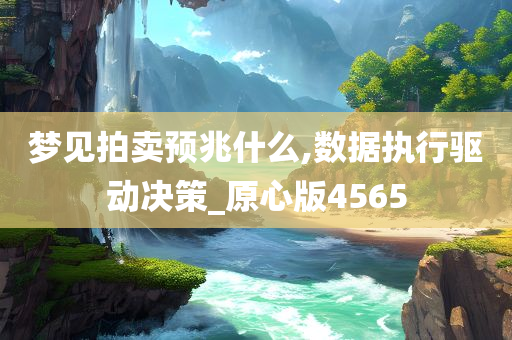 梦见拍卖预兆什么,数据执行驱动决策_原心版4565