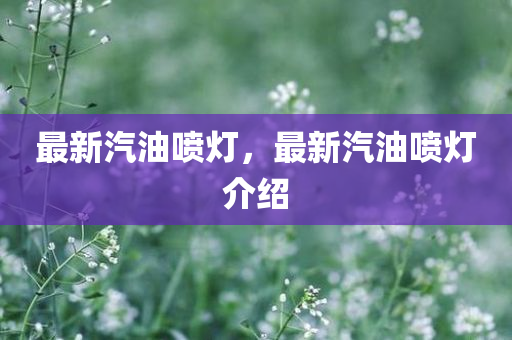 最新汽油喷灯，最新汽油喷灯介绍