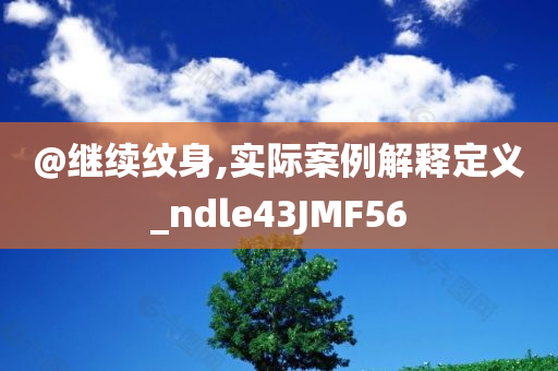 @继续纹身,实际案例解释定义_ndle43JMF56