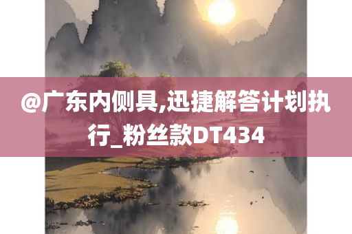 @广东内侧具,迅捷解答计划执行_粉丝款DT434