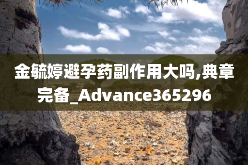 金毓婷避孕药副作用大吗,典章完备_Advance365296