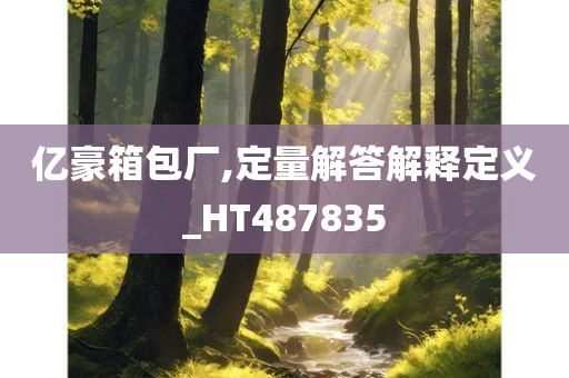 亿豪箱包厂,定量解答解释定义_HT487835