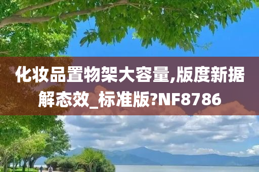 化妆品置物架大容量,版度新据解态效_标准版?NF8786