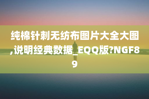 纯棉针刺无纺布图片大全大图,说明经典数据_EQQ版?NGF89