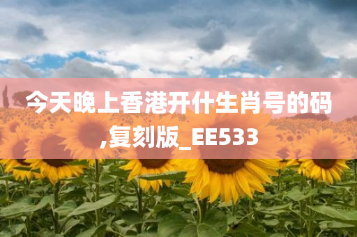 今天晚上香港开什生肖号的码,复刻版_EE533