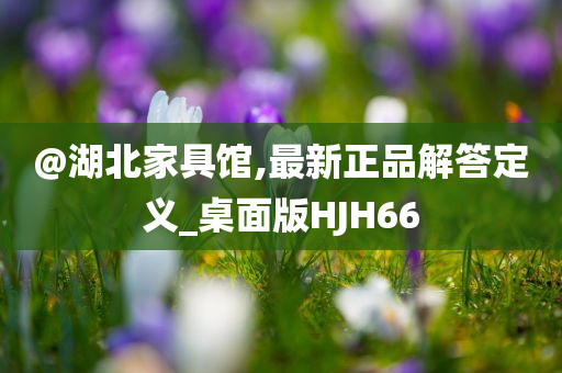 @湖北家具馆,最新正品解答定义_桌面版HJH66