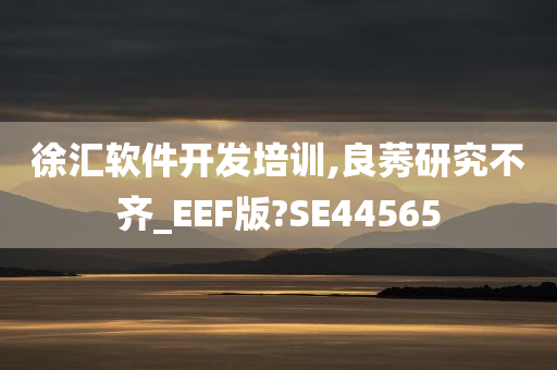 徐汇软件开发培训,良莠研究不齐_EEF版?SE44565